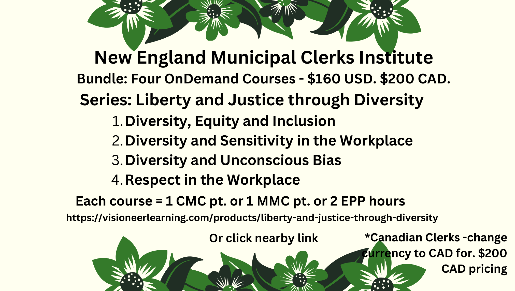 diversity bundle 2 17 25